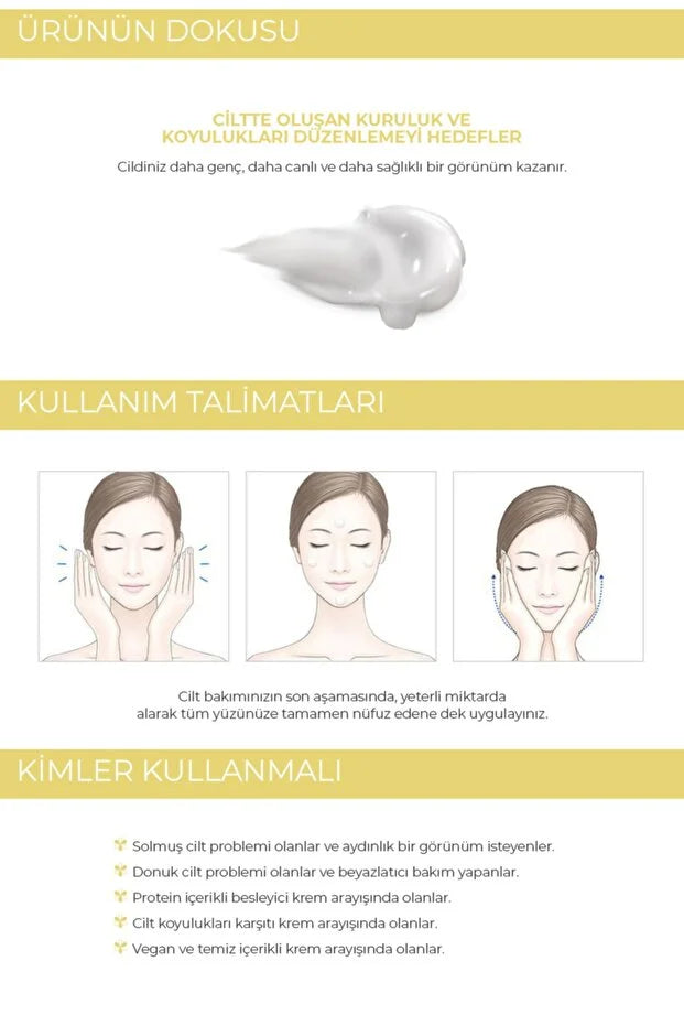 FOODAHOLIC Ceramide Aydınlatıcı Beyazlatıcı Niasinamid Içeren Nemlendirici Ve Besleyici Saf Vitamin Krem 100ml görsel 3