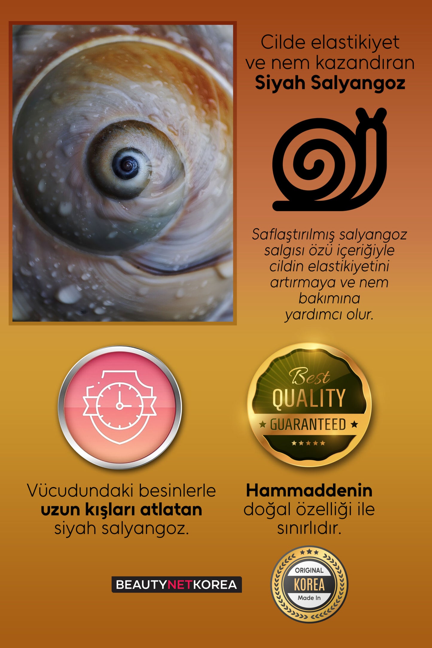 FOODAHOLIC PATENTLİ Anti Sebum P | Siyah Salyangoz Özlü Jel %98 | Yatıştırıcı & Nemlendirici | Tüm Cilt Tipleri görsel 4